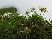 37 si stagliano nella nebbia...
